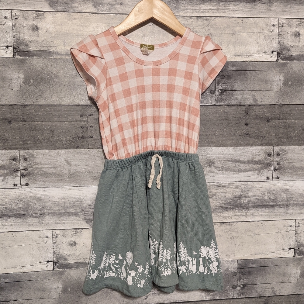 Little Road Co Peter Rabbit dress 4Y Girl